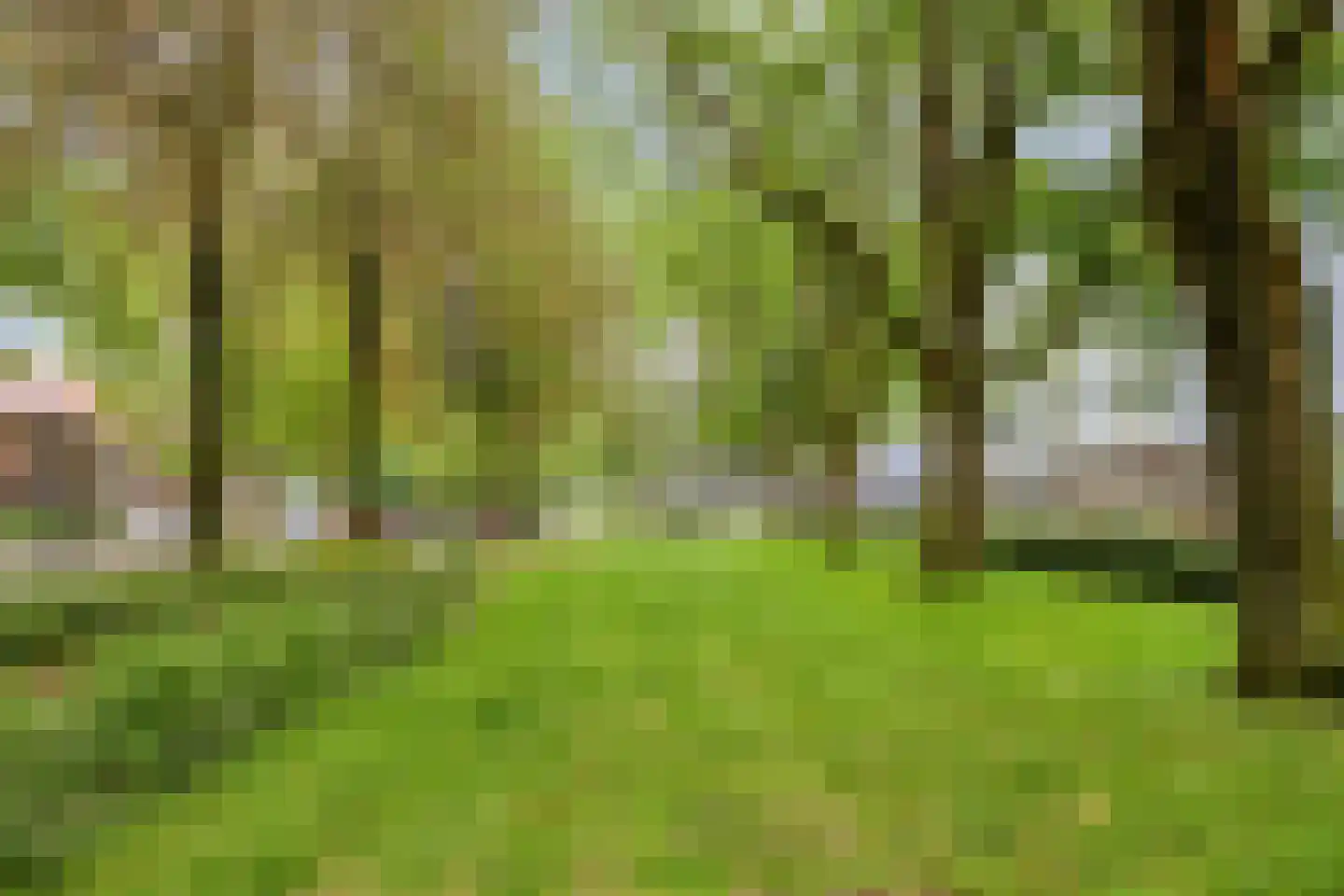 Trouwlaan 203 Tilburg thumbnail 30