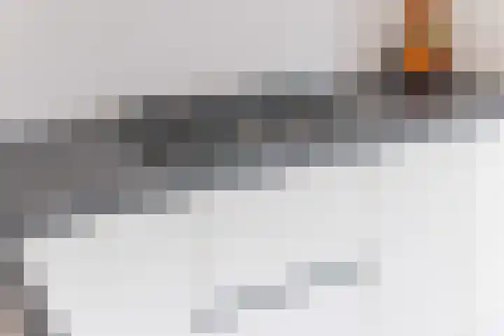 Trouwlaan 204 Tilburg thumbnail 10