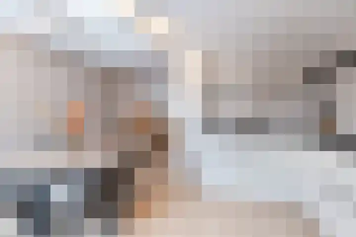 Trouwlaan 204 Tilburg thumbnail 11