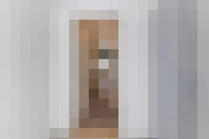 Trouwlaan 204 Tilburg thumbnail 26