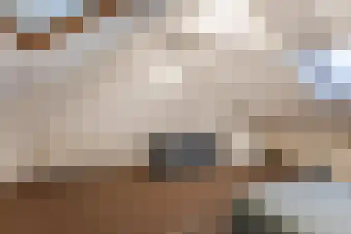 Trouwlaan 204 Tilburg thumbnail 28
