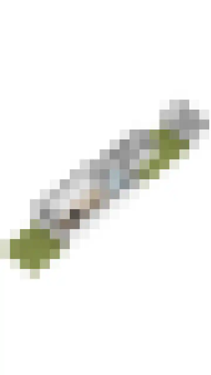 Trouwlaan 204 Tilburg thumbnail 32