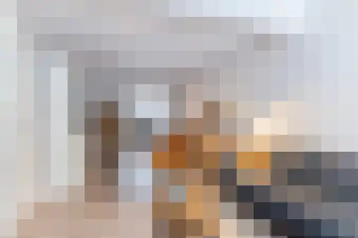 Trouwlaan 204 Tilburg thumbnail 7