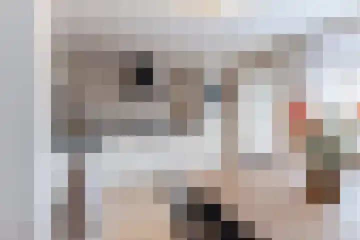 Trouwlaan 204 Tilburg thumbnail 9