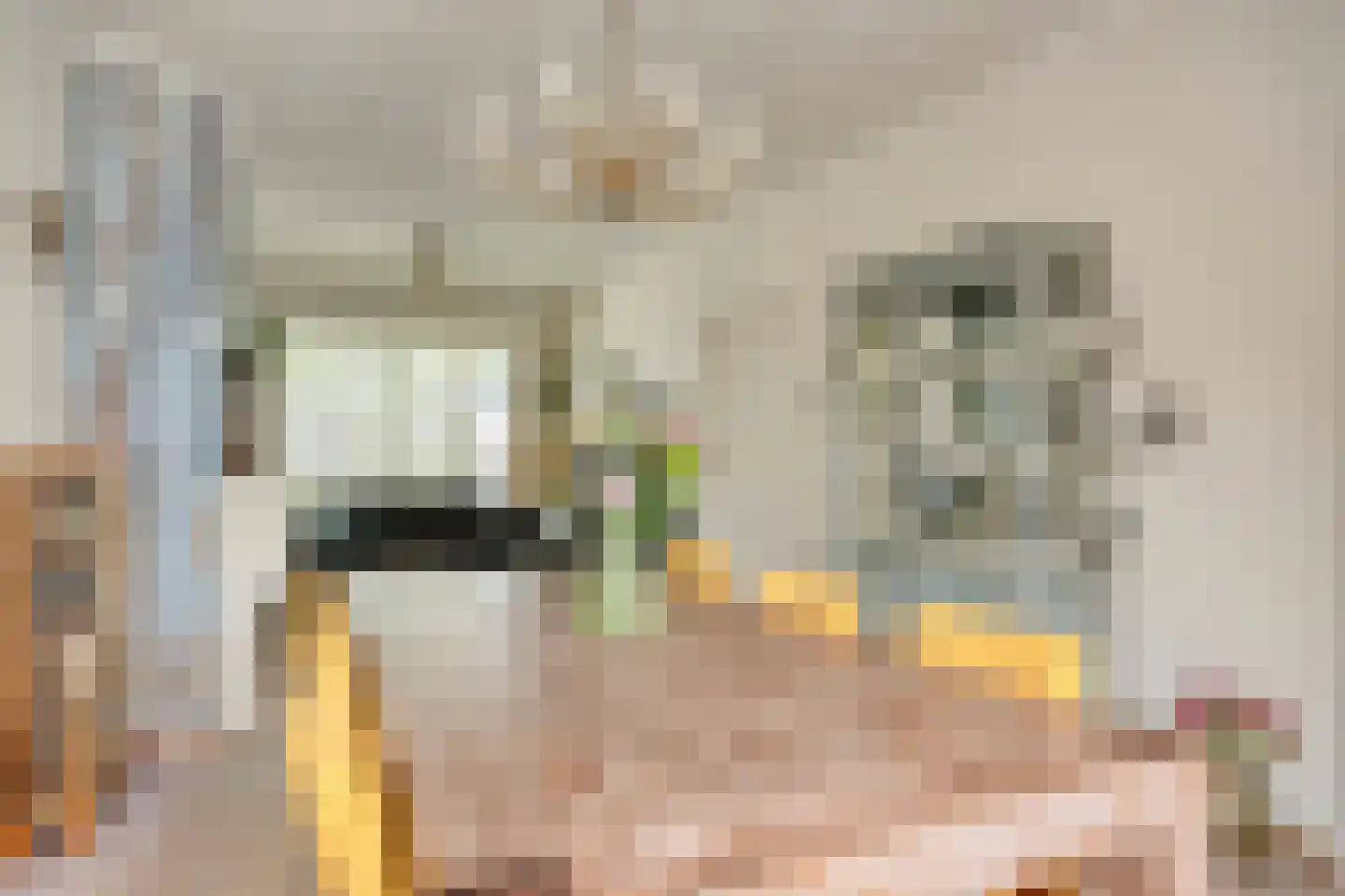 Trouwlaan 220 Tilburg thumbnail 15