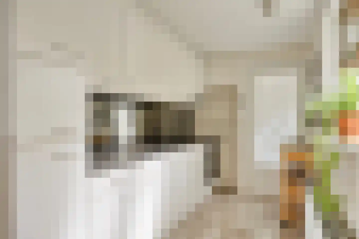 Trouwlaan 220 Tilburg thumbnail 16