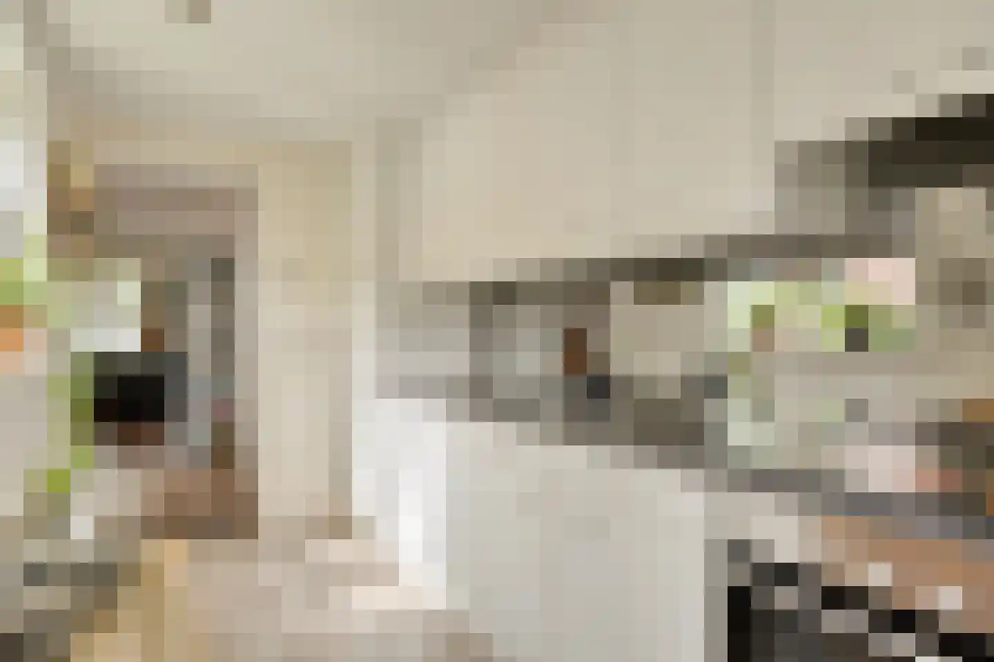 Trouwlaan 220 Tilburg thumbnail 17