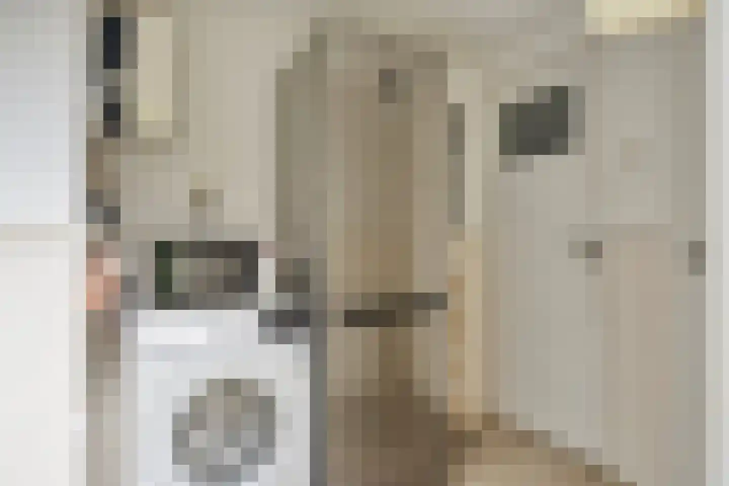 Trouwlaan 220 Tilburg thumbnail 18