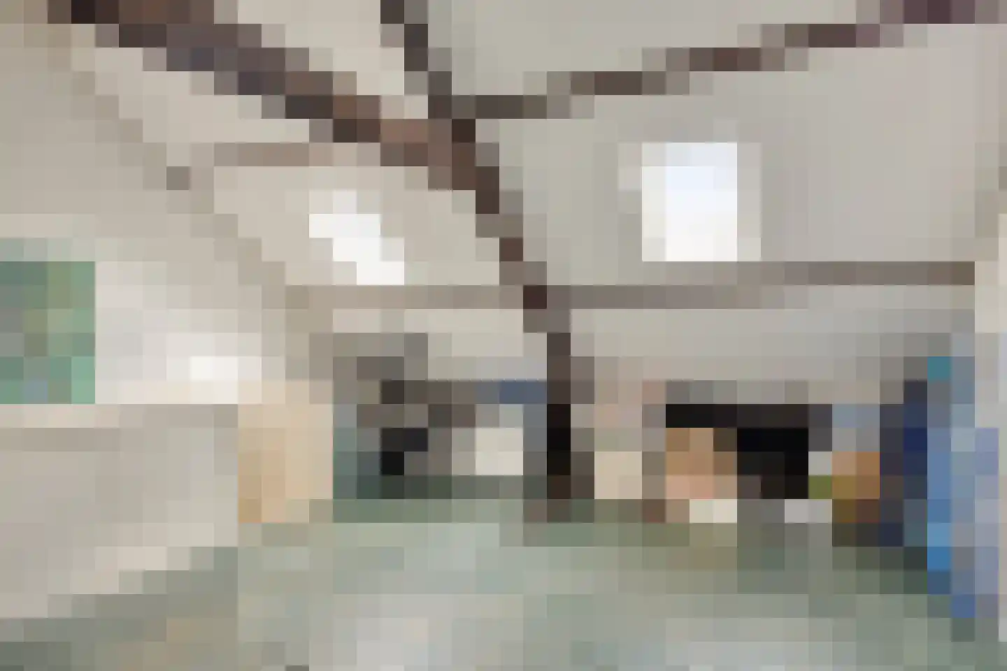 Trouwlaan 220 Tilburg thumbnail 29