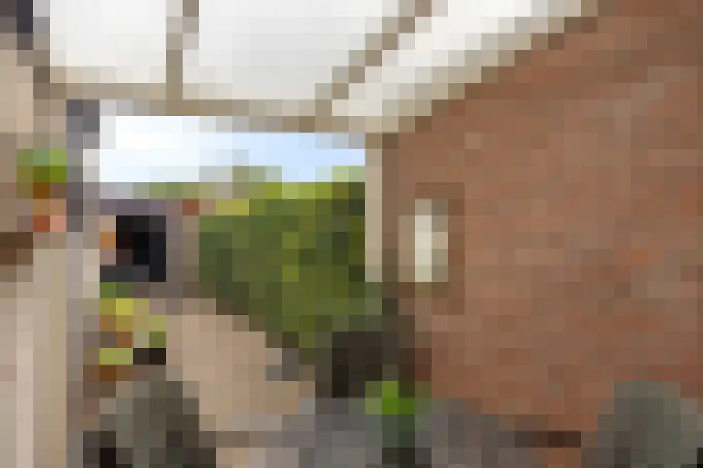 Trouwlaan 220 Tilburg thumbnail 31