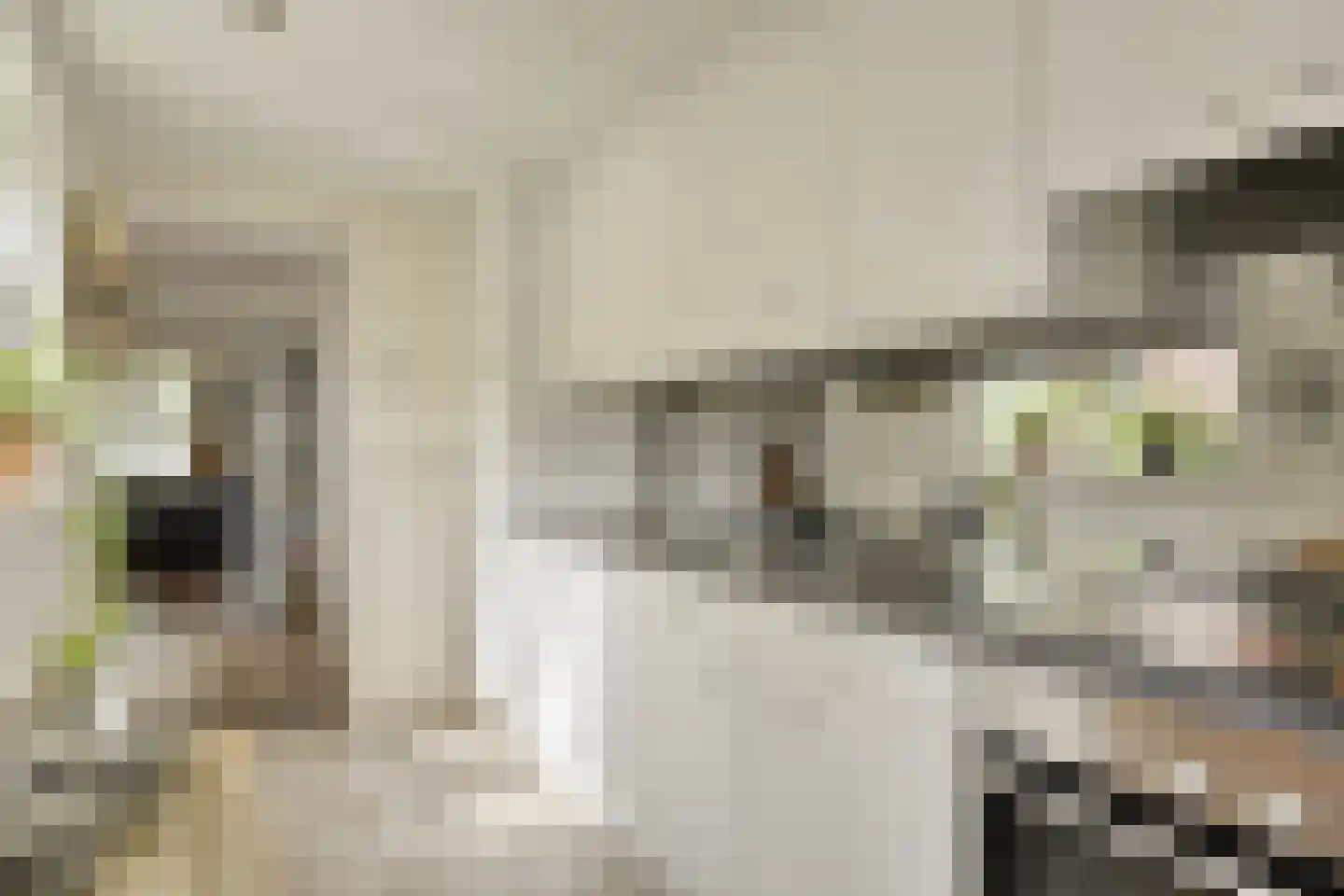 Trouwlaan 220 Tilburg thumbnail 5