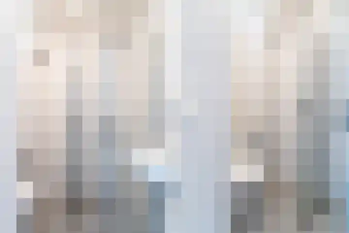 Trouwlaan 251 Tilburg thumbnail 16
