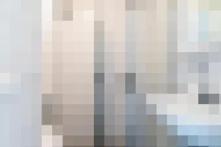 Trouwlaan 251 Tilburg thumbnail 17