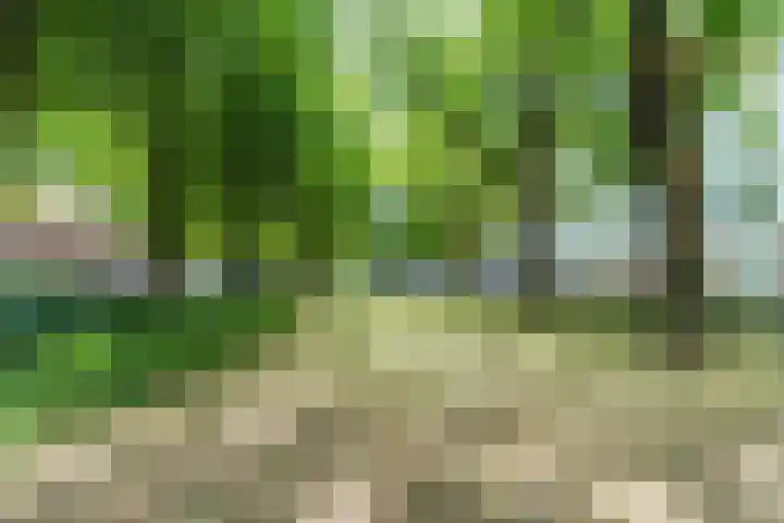 Trouwlaan 251 Tilburg thumbnail 18