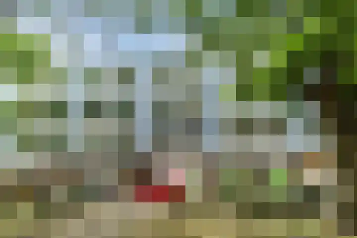 Trouwlaan 251 Tilburg thumbnail 19