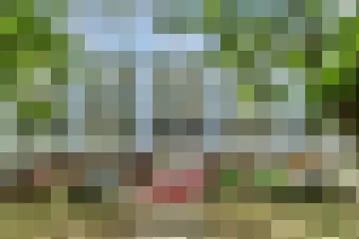 Trouwlaan 251 Tilburg thumbnail 22