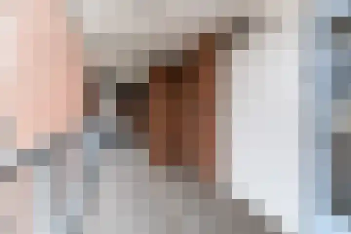 Trouwlaan 251 Tilburg thumbnail 5