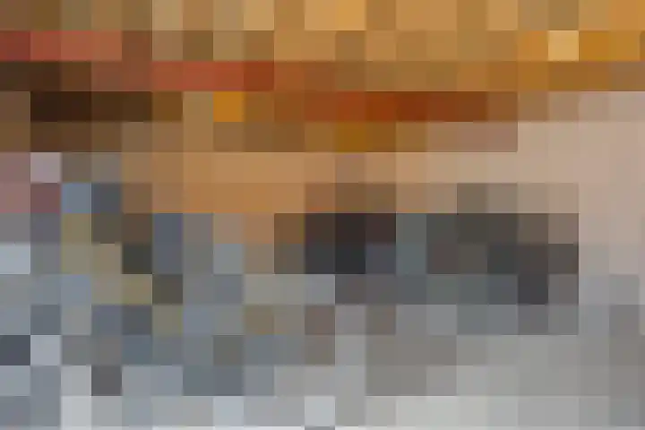 Trouwlaan 257 Tilburg thumbnail 19
