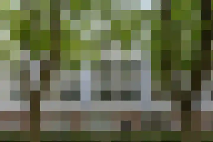 Trouwlaan 257 Tilburg thumbnail 20