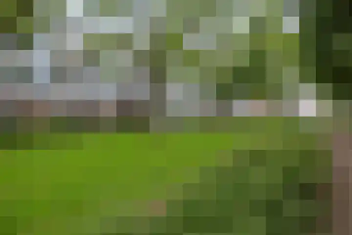 Trouwlaan 257 Tilburg thumbnail 21