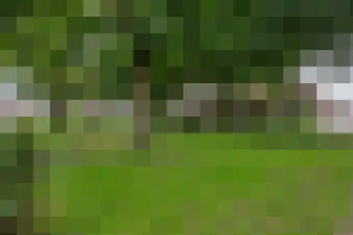Trouwlaan 257 Tilburg thumbnail 22