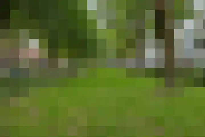 Trouwlaan 257 Tilburg thumbnail 23