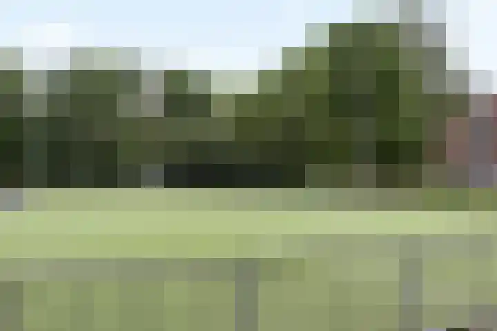 Trouwlaan 257 Tilburg thumbnail 25