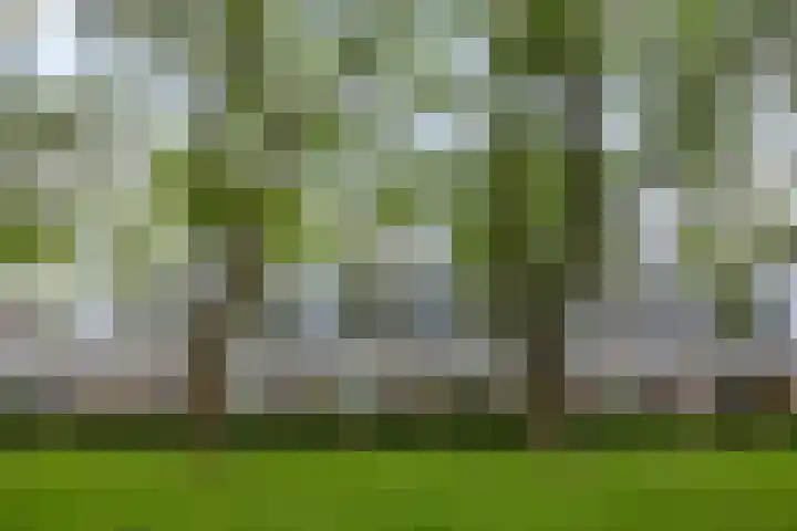 Trouwlaan 257 Tilburg thumbnail 28
