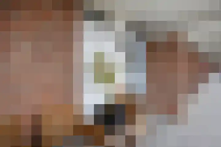 Trouwlaan 257 Tilburg thumbnail 4