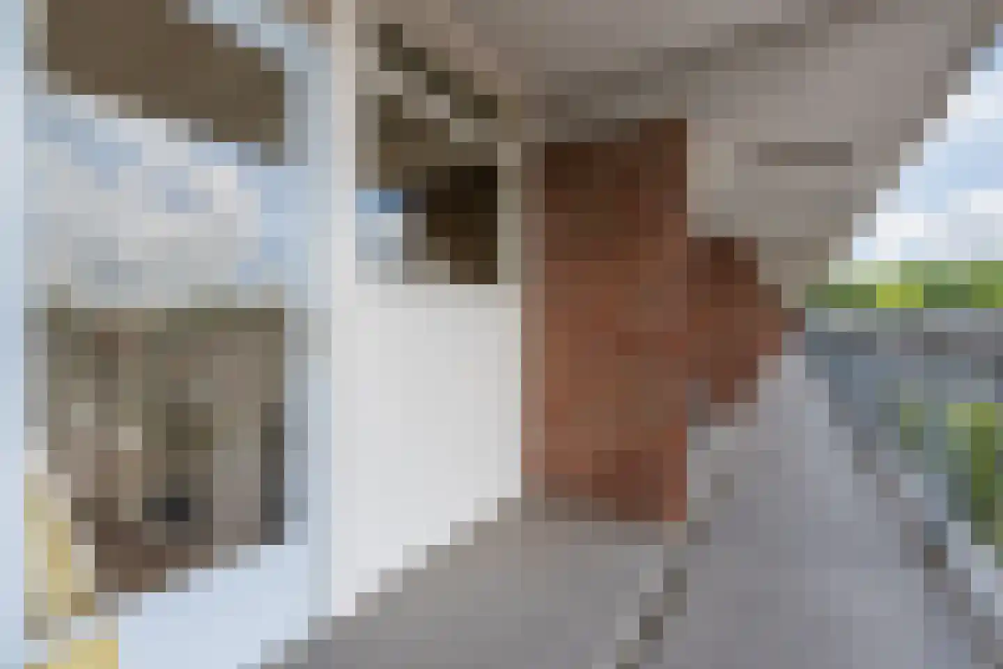 Trouwlaan 285 Tilburg thumbnail 17