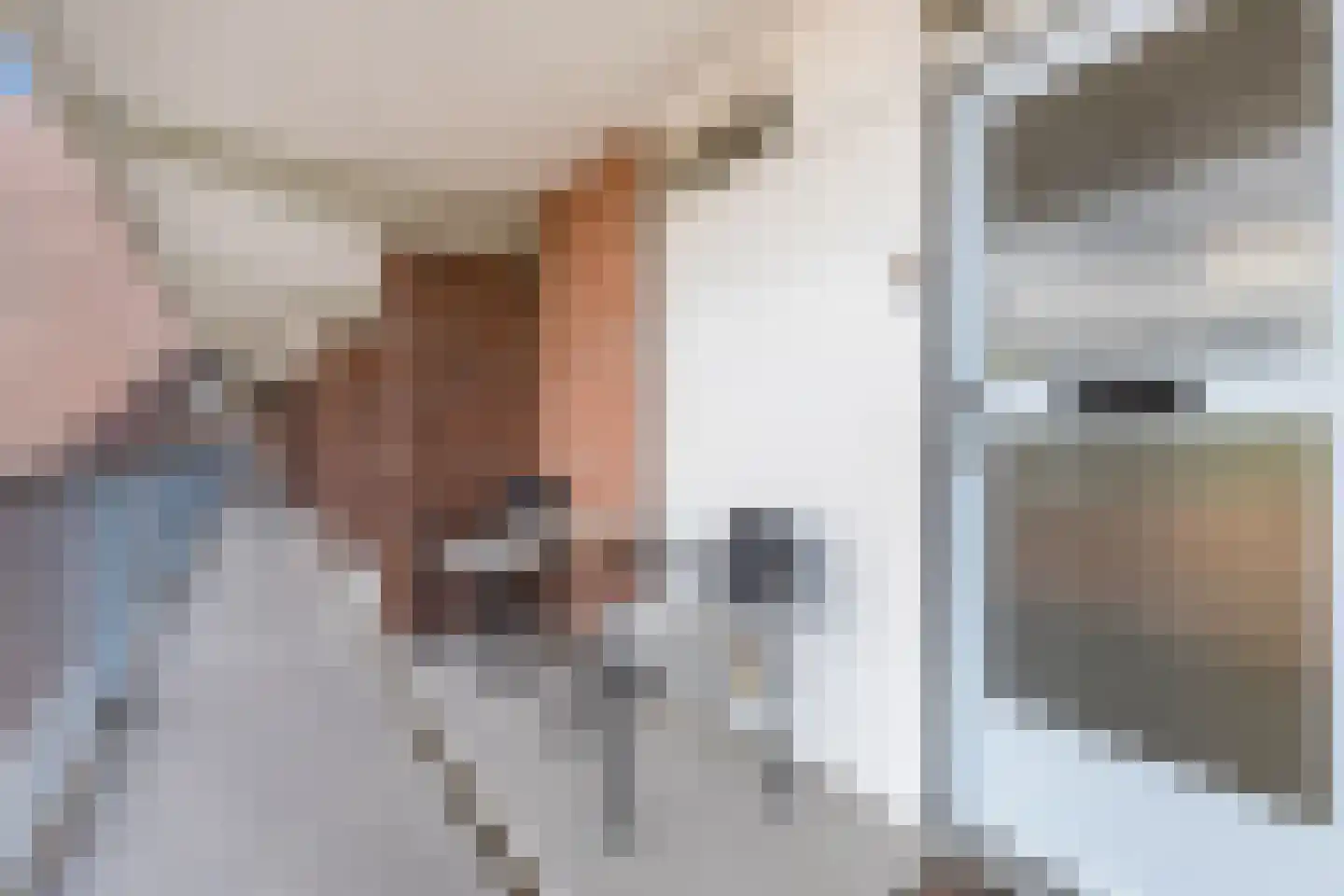 Trouwlaan 285 Tilburg thumbnail 20