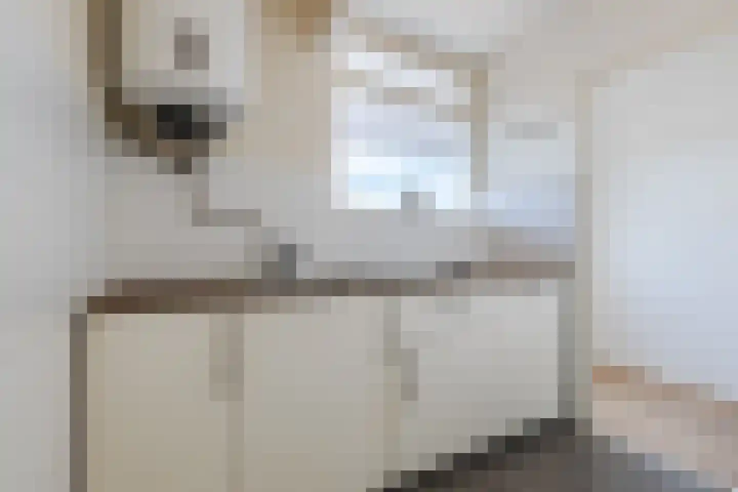 Trouwlaan 285 Tilburg thumbnail 5