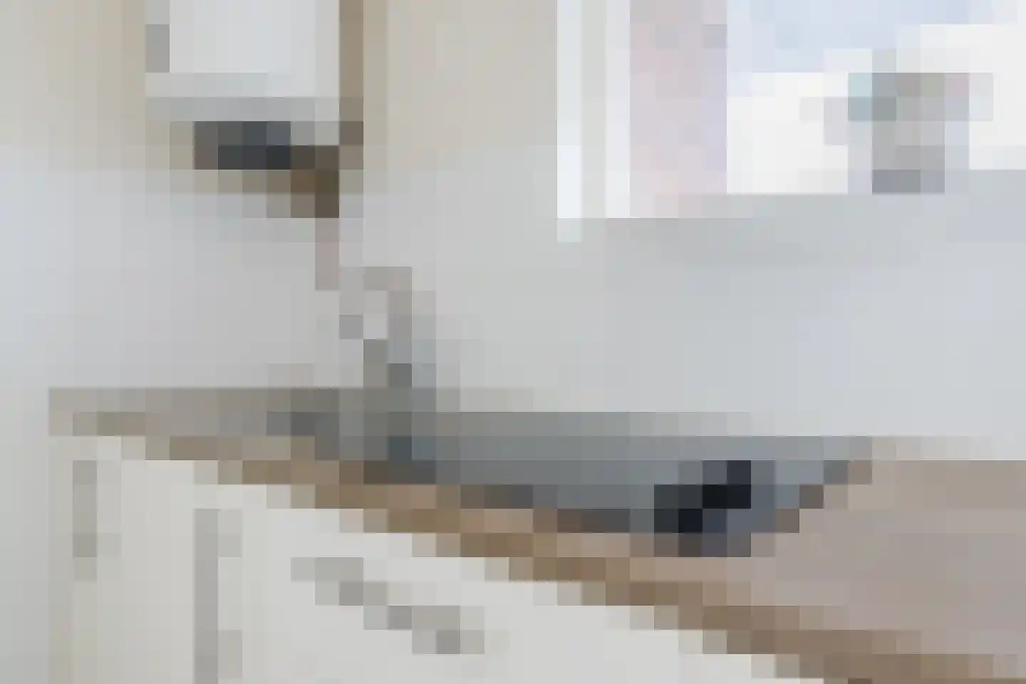 Trouwlaan 285 Tilburg thumbnail 7