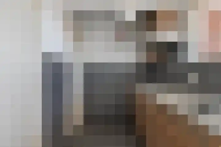 Trouwlaan 287 Tilburg thumbnail 13