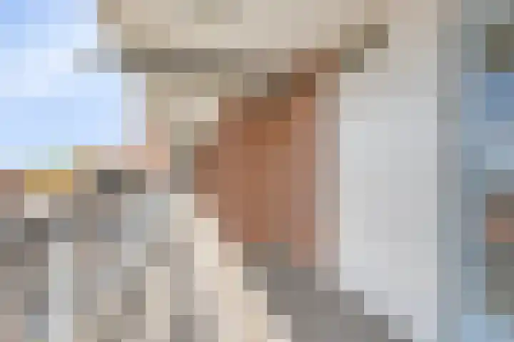 Trouwlaan 287 Tilburg thumbnail 19