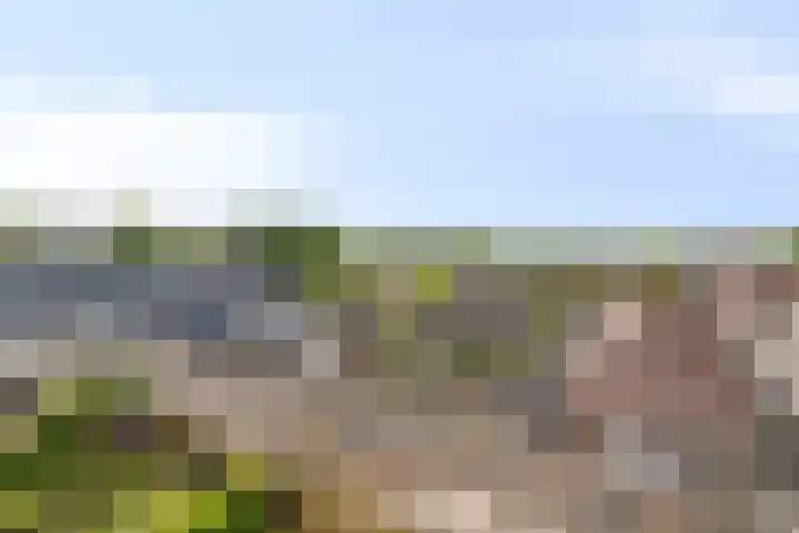 Trouwlaan 287 Tilburg thumbnail 21