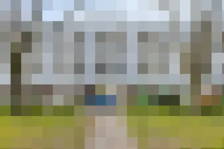 Trouwlaan 287 Tilburg thumbnail 29