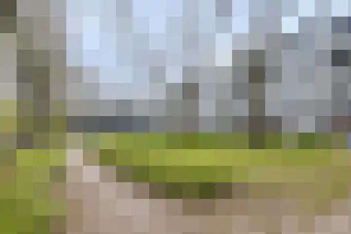 Trouwlaan 287 Tilburg thumbnail 4