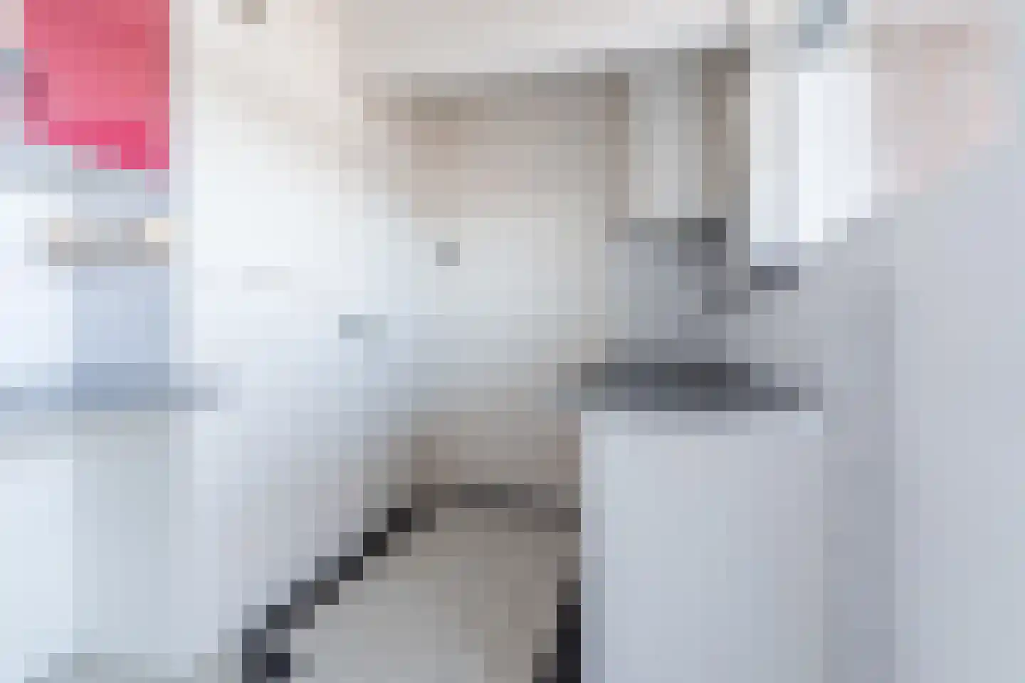 Trouwlaan 289 Tilburg thumbnail 12