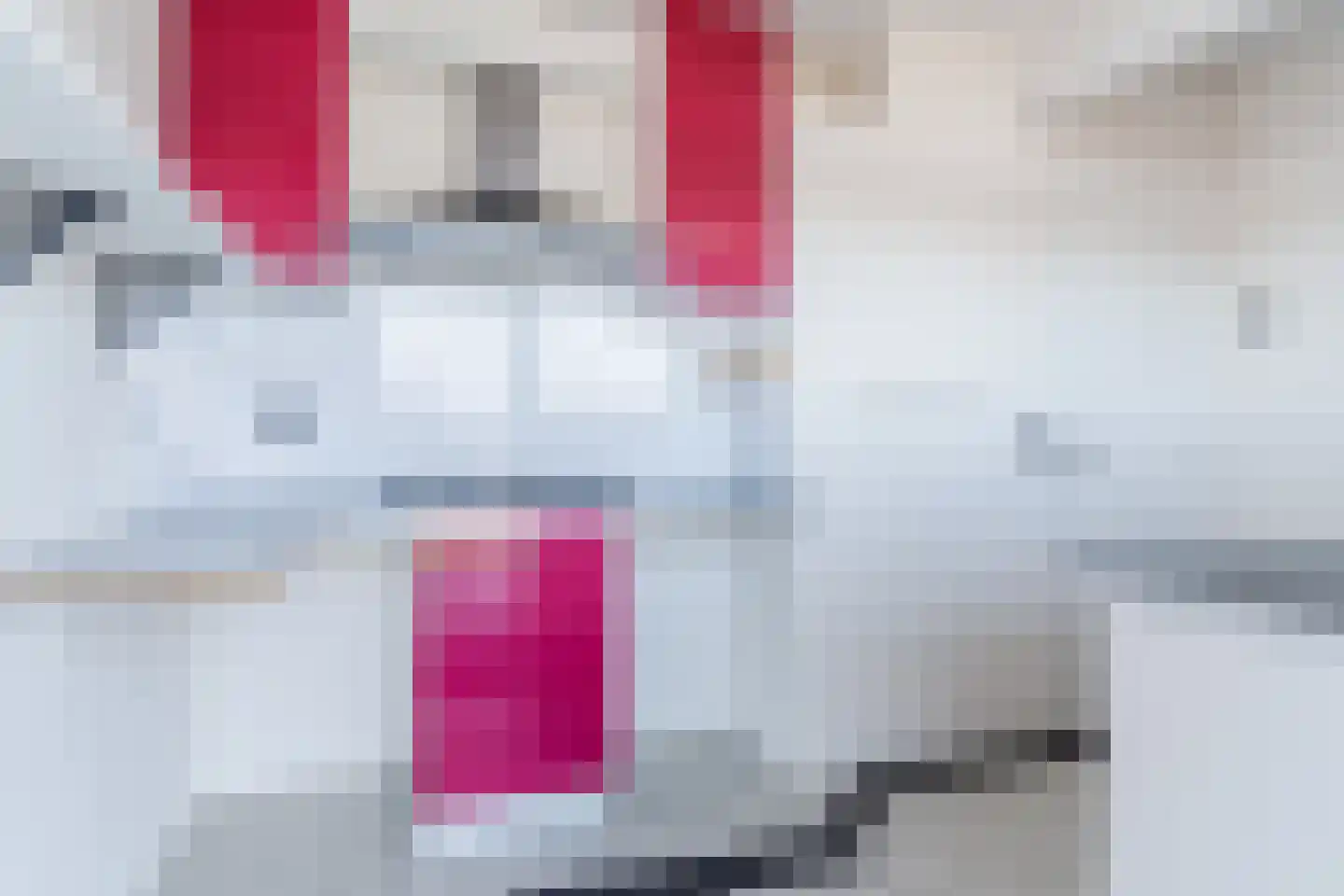 Trouwlaan 289 Tilburg thumbnail 13