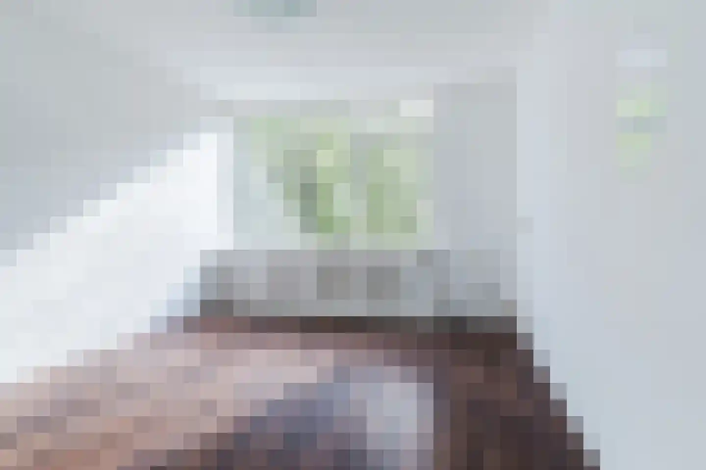 Trouwlaan 289 Tilburg thumbnail 8