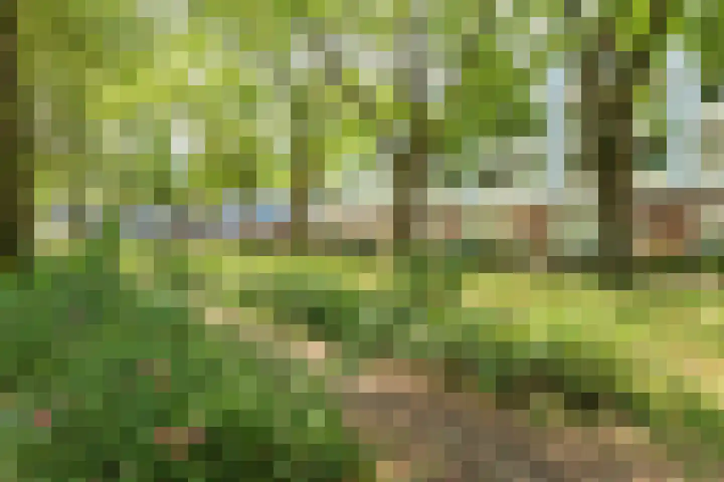Trouwlaan 291 Tilburg thumbnail 28