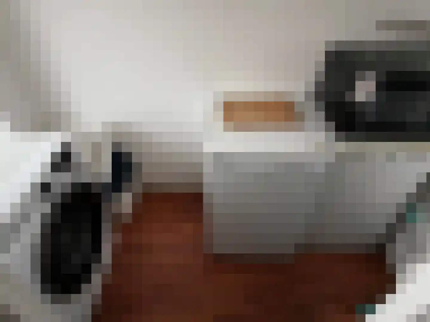 Trouwlaan 297 Tilburg thumbnail 15
