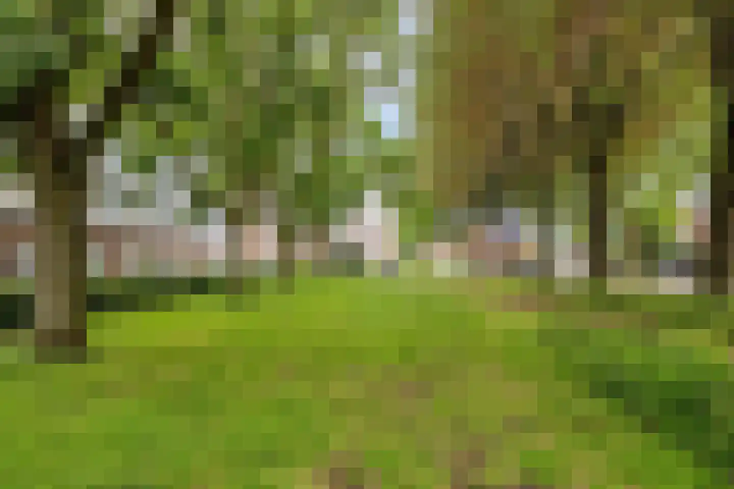 Trouwlaan 297 Tilburg thumbnail 19