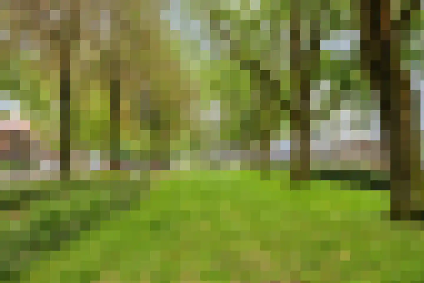 Trouwlaan 297 Tilburg thumbnail 20