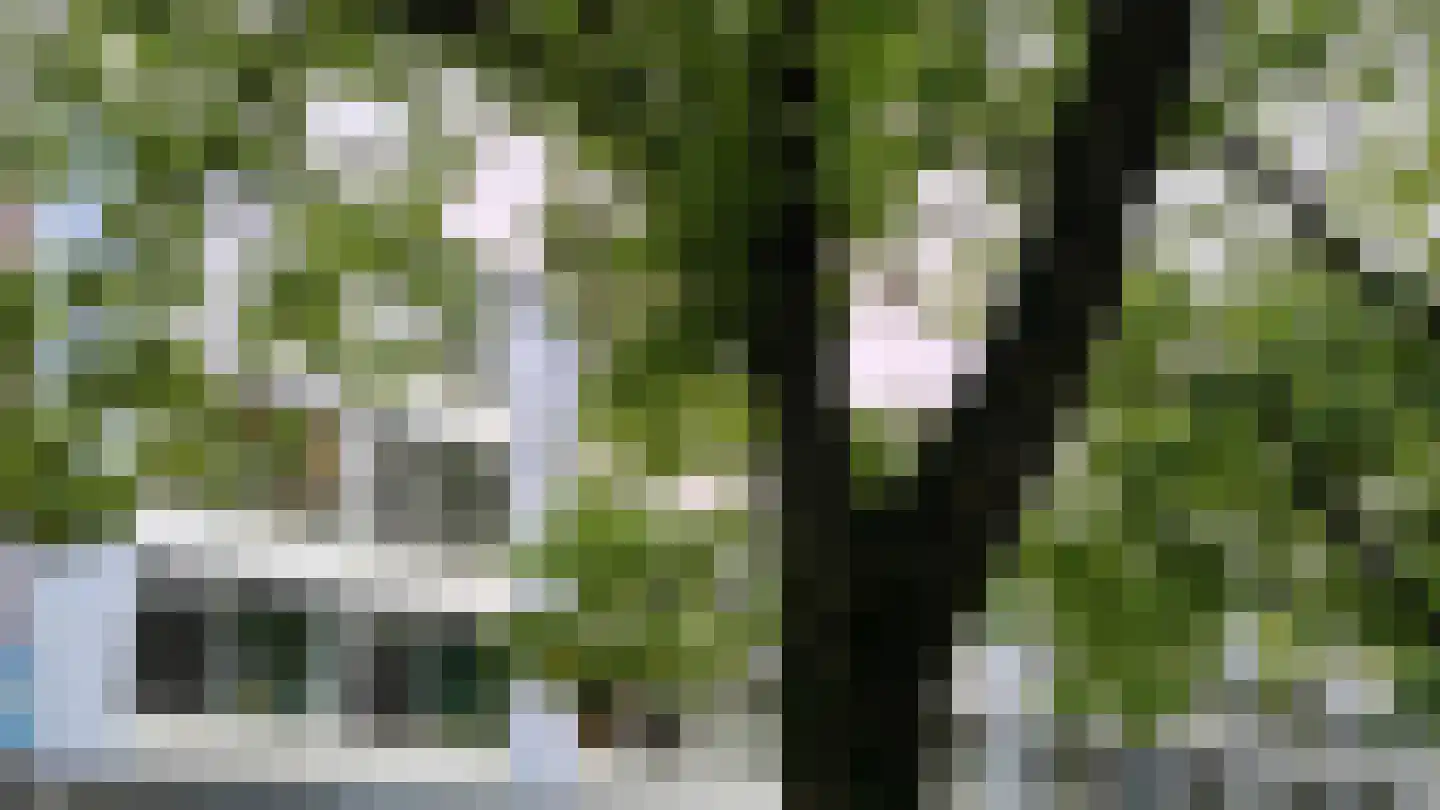 Trouwlaan 297 Tilburg thumbnail 5