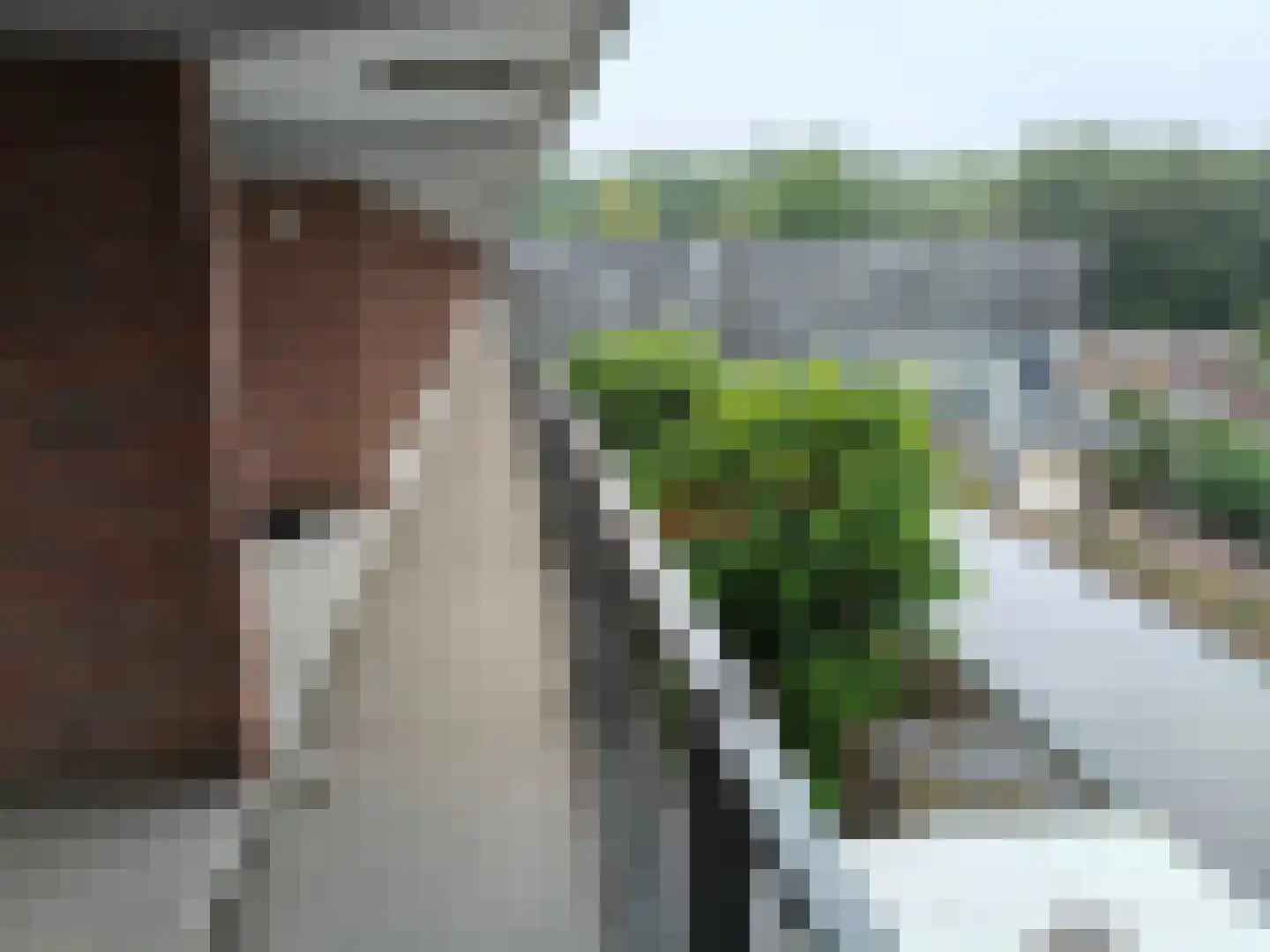 Trouwlaan 297 Tilburg thumbnail 8