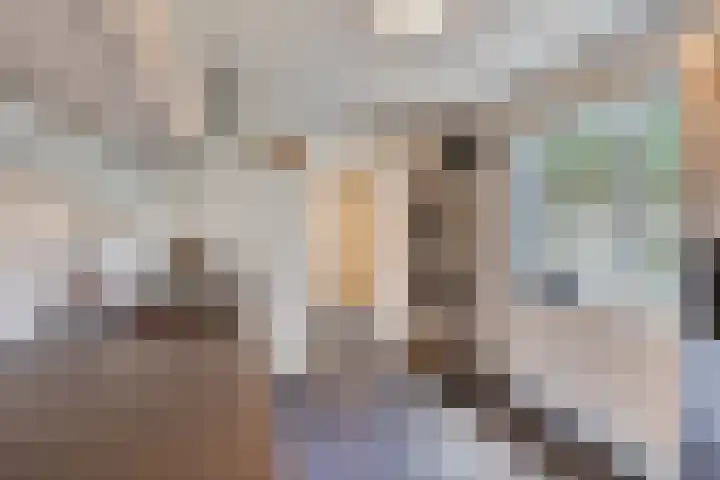 Trouwlaan 59 Tilburg thumbnail 13