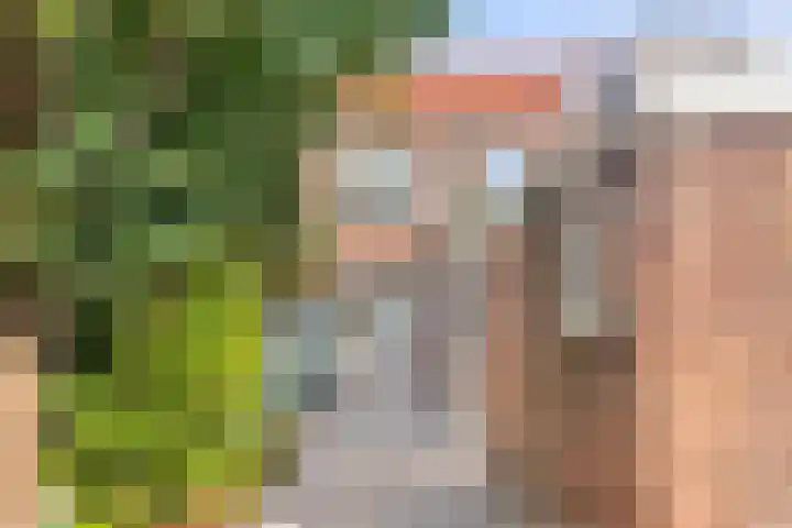 Trouwlaan 59 Tilburg thumbnail 34