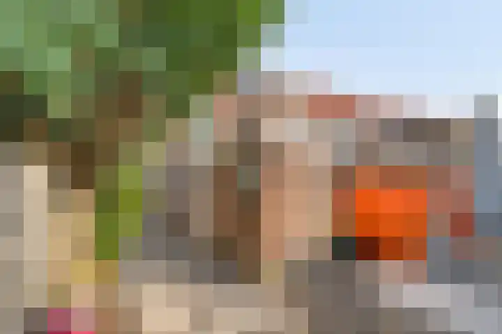Trouwlaan 59 Tilburg thumbnail 35